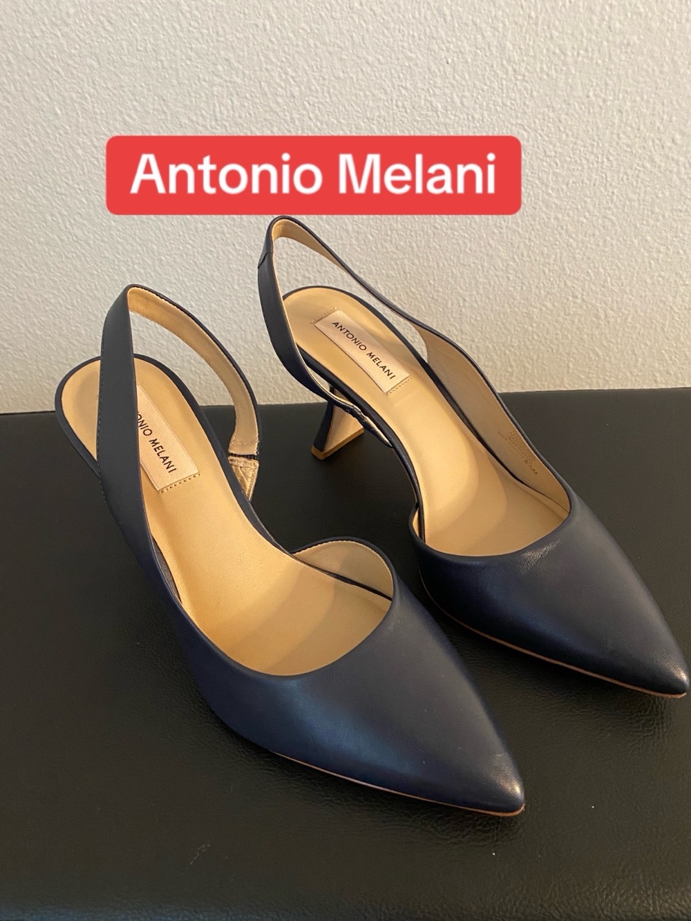 ANTONIO MELANI Navy Pointed-Toe Slingback Pumps NWOT